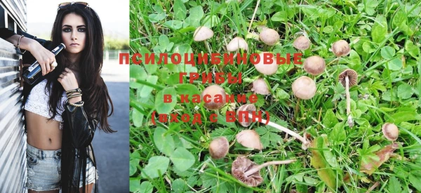 a pvp Гусиноозёрск