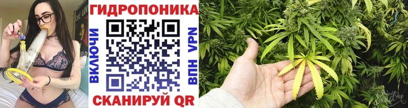 Шишки марихуана White Widow  Отрадная 